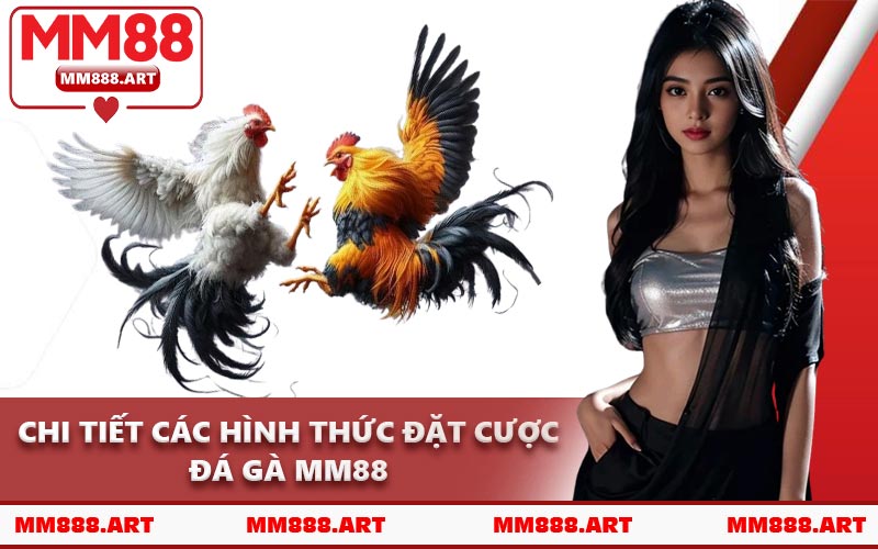 Chi Tiết Các Hình Thức Đặt Cược Đá Gà MM88