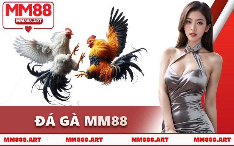 Đá Gà MM88